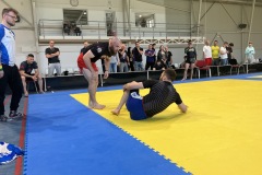 img_0482