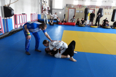 dscn4779